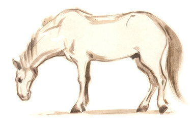 Hand drawn brushstroke sketch on paper of horse 