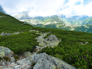 Mountain trail in High Tatras mountains, Slovakia