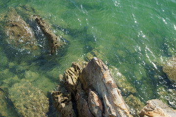 stones sea water green