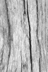 Obraz premium Texture old wood background, wood oak style