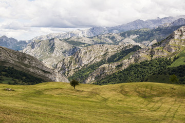 Lanscape in "Covadonga" National Park