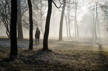 Foggy morning in the park, Munich, Germany