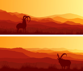 Horizontal wide banners of goats grazing in meadows.