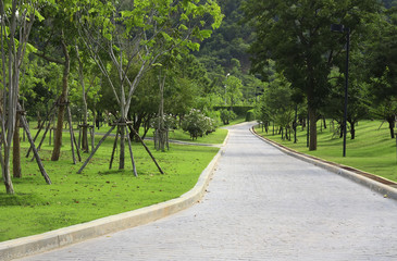 Fototapeta na wymiar nature road or pathway in the garden with green tree, flower, grass, mountain and streetlight for relax travel in holiday