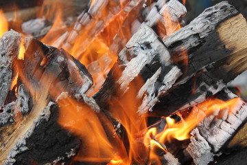 Bright burning fire of wood at fireplace 20424