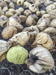 Fototapeta na wymiar Sun dried figs