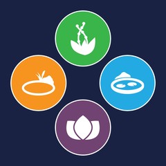 Set of 4 lotus filled icons