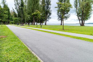 Fototapeta na wymiar bicycle track with green trees in a Park by the sea