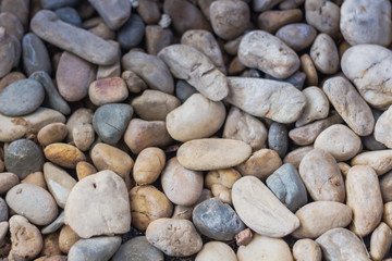 Sea stones background Nature Sea eco River