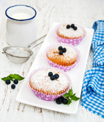 muffins with blueberry
