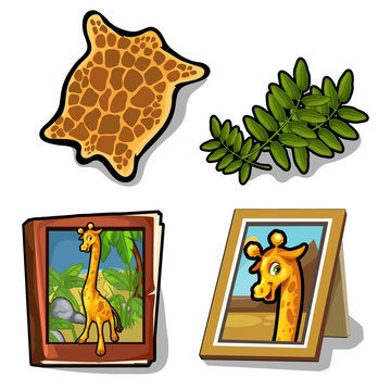 Vector set isolated of four item on giraffe theme