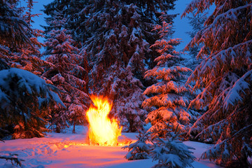 Large bright bonfire of a winter forest at night.