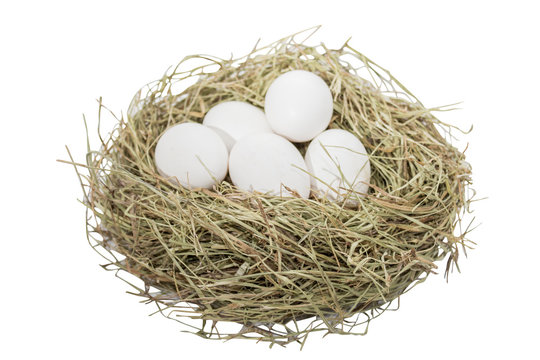 Eggs (image with clipping path)
