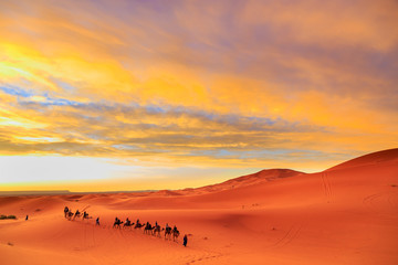 Obraz na płótnie Canvas Caravan of camels with tourist in the desert at sunset against a beautiful sky
