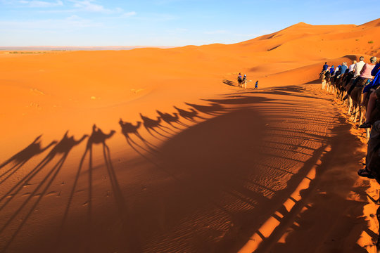 Shadow of a caravan of camels with tourist in the desert at sunset
