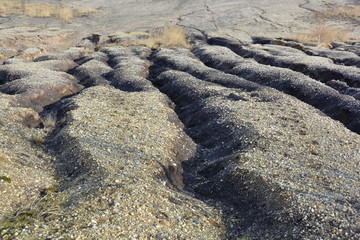 Erosionsrinnen am ehemaligen Tagebaurand