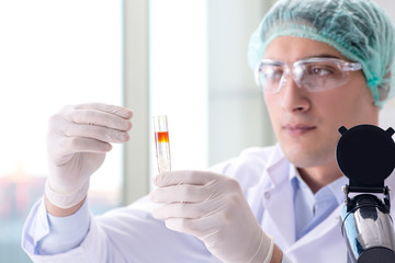 Young scientist working in the lab