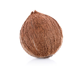 coconut on a white background