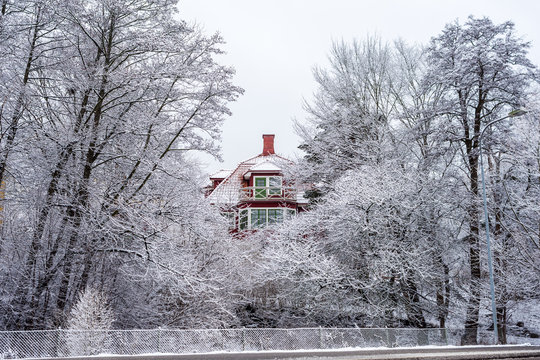 Vackra tr&auml;d och grenar i vinterskrud 1/13 ett r&ouml;tt tr&auml;hus skumar mellan tr&auml;den.