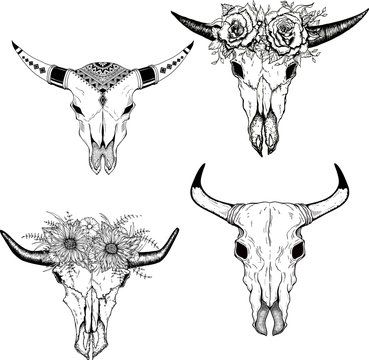 Hand drawn Buffalo Skull Native American Totem set