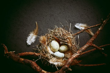 Naklejka na ściany i meble Rustic Easter arrangement of branches, eggs and feathers