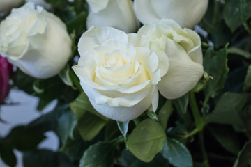 bouquet of large white roses