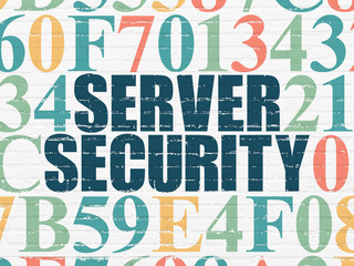 Protection concept: Server Security on wall background