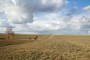 Felder Ditzingen