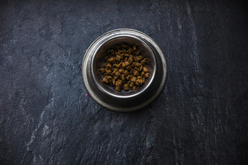 food for dogs in the plate