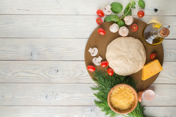 ingredients and the pizza dough on the wooden background top view