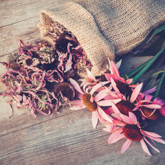 Bunch of healing coneflowers and sack with dried echinacea flowers on wooden board.