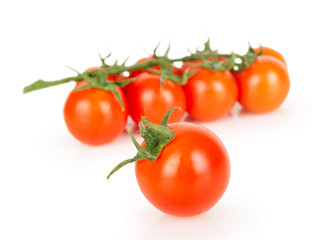 one cherry tomato on the background of other tomato