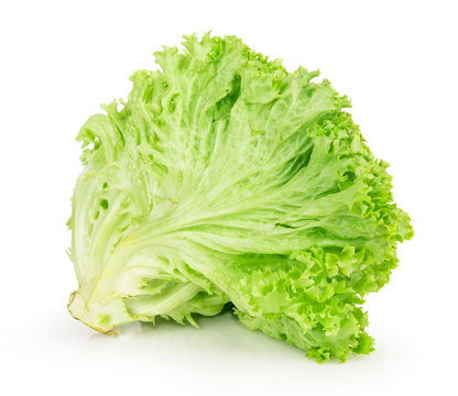 green salad leaf on a white background
