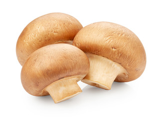 Champignon mushrooms