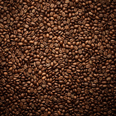 Texture of roasted coffee beans