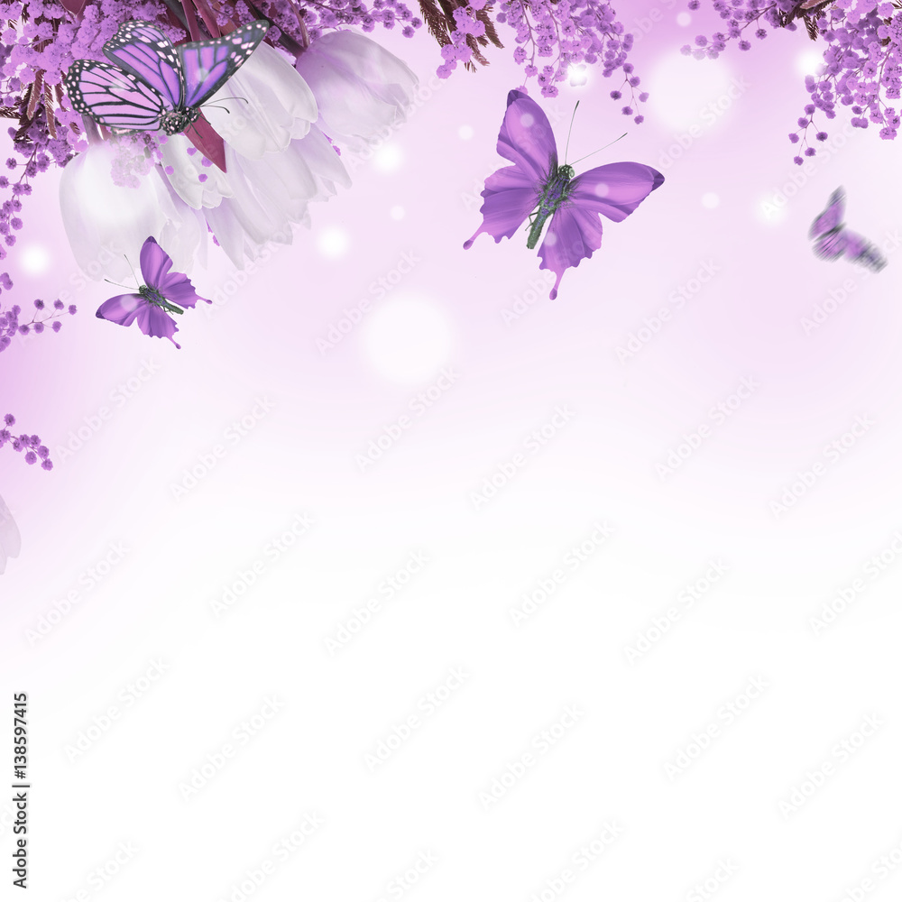 Wall mural amazing tulips with mimosa and butterflies background of flora and fauna, flowers