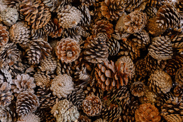 The pine cones of the stack is the same