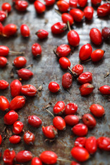 freshly picked organic red briar lay on the table dried, vertical image
