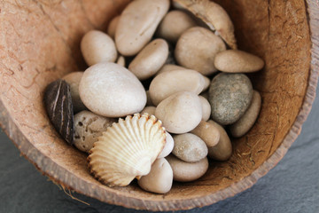 Sea shell, stones in half coconut on dark background. Close up photo