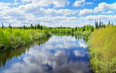 Foto op Plexiglas Spring scenic landscape with river and blue sky with clouds © Leonid Ikan