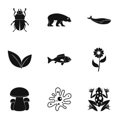 Beautiful nature icons set, simple style