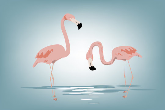 pink flamingos vector