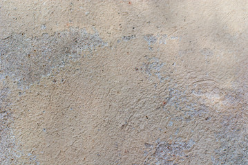 Wall texture