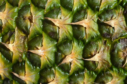 Pineapple fruit close-up. Texture of ananas pattern skin.