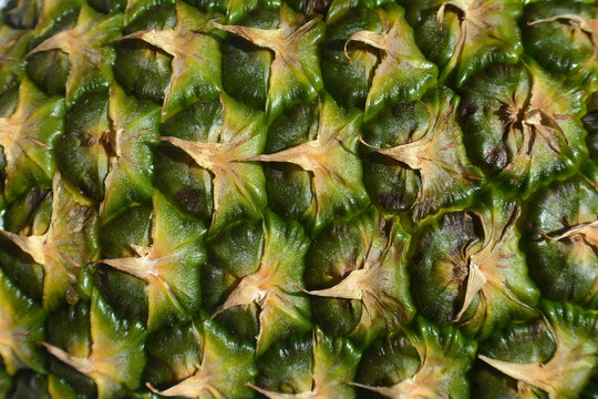 Pineapple fruit close-up. Texture of ananas pattern skin.