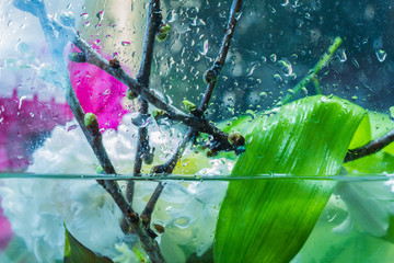 Fototapety na wymiar - Fototapeta24.pl