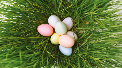 Cute creative photo with easter eggs in the nest