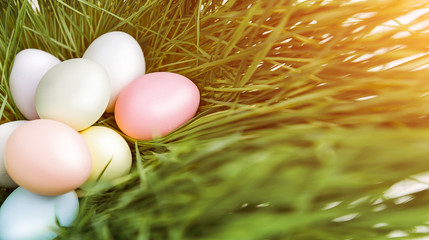 Cute creative photo with easter eggs in the nest