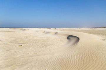 Small barchan dunes (foredunes) on the beach