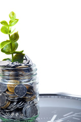 coins with plant and clock, isolated on white background.